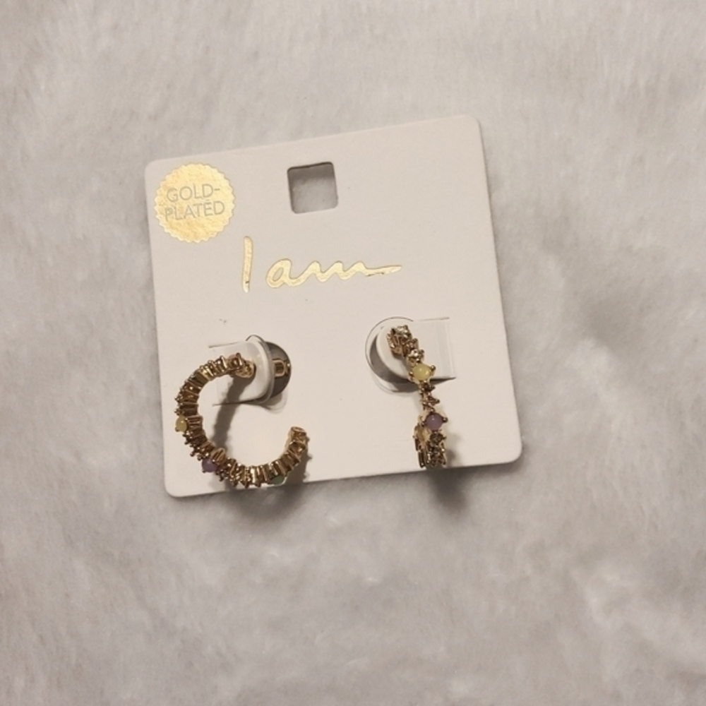 Earrings NWT